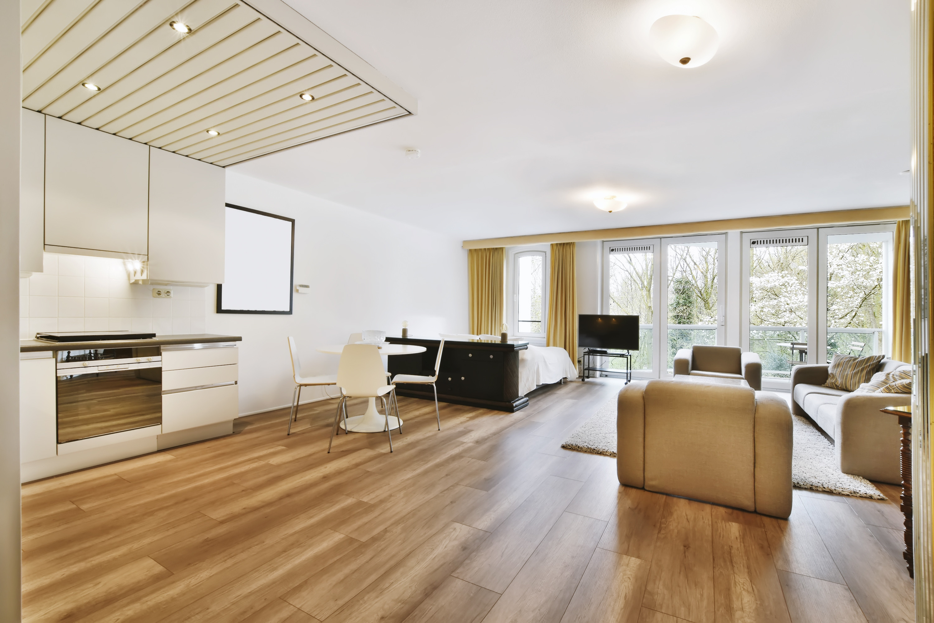 Helles Wohnzimmer mit Küche, Sofas, Essbereich und Bett